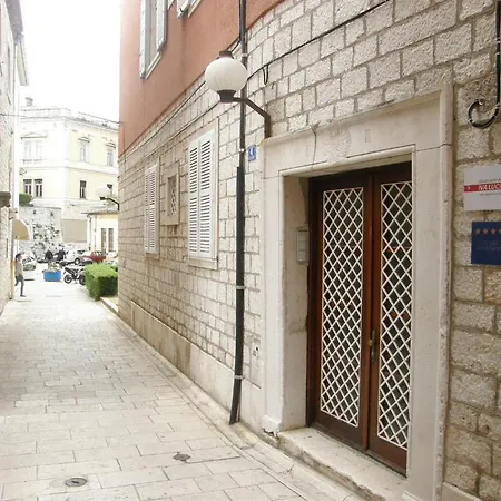 Dentex Appartement