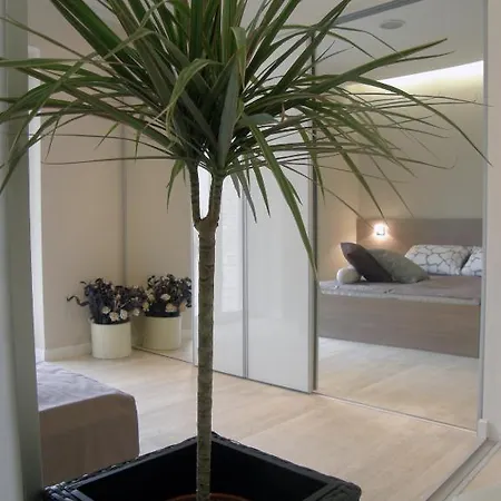 Dentex Apartment