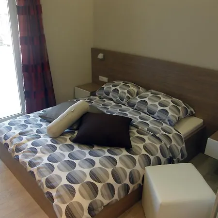 Dentex Zadar