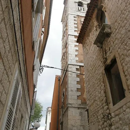 Dentex * Zadar